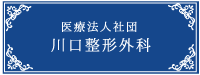 医療法人社団川口整形外科